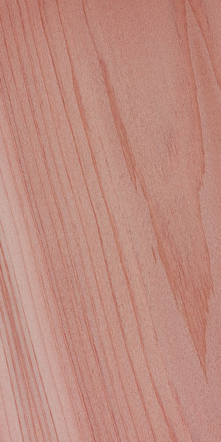 Northern White Cedar — This image likely depicts northern white cedar wood being finished, highlighting its workability and the application of finishes. | https://www.wood-database.com/wp-content/uploads/thuja-occidentalis.jpg