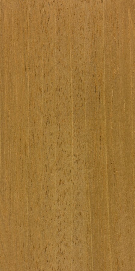 Honduran Mahogany — The image depicts Honduran mahogany with rift sawn grain, highlighting the unique grain pattern of this wood. | https://www.wood-database.com/wp-content/uploads/swietenia-macrophylla-fs.jpg