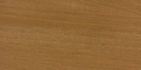 Honduran Mahogany — This image shows Honduran mahogany (Swietenia macrophylla), a tree species known for its height and trunk diameter. | https://www.wood-database.com/wp-content/uploads/swietenia-macrophylla-fs-300x600.jpg