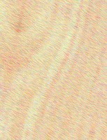 Lodgepole Pine — This image features Lodgepole Pine that has been sealed, indicating a treatment or finish applied to the wood. | https://www.wood-database.com/wp-content/uploads/lodgepole-pine-sealed-2-153x200.jpg