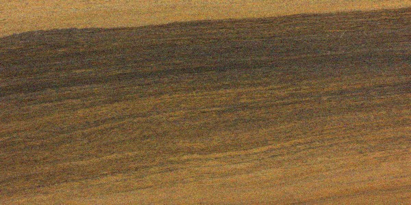 Lignum-vitae wood grain sample