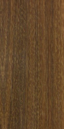 Ipe — This image shows Ipe wood (Handroanthus serratifolius), a species known for its durability and strength, commonly found in tropical Central and South America. | https://www.wood-database.com/wp-content/uploads/handroanthus-serratifolius-225x450.jpg