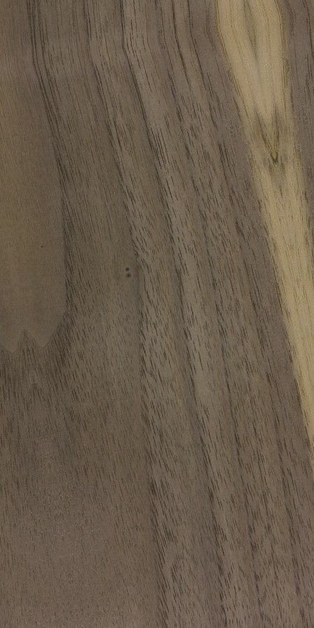 Black Walnut — The image features a turned bowl made from black walnut and hard maple, showcasing the wood's application in crafted items. | https://www.wood-database.com/wp-content/uploads/juglans-nigra.jpg