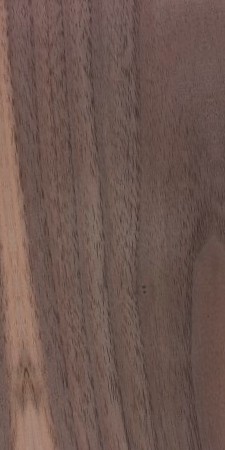 Black Walnut — This image shows black walnut wood (Juglans nigra), which is known for its height and trunk diameter, as well as its average dried weight and specific gravity. | https://www.wood-database.com/wp-content/uploads/juglans-nigra-225x450.jpg
