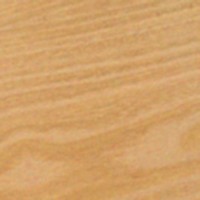 Osage Orange — The image shows Osage Orange (Maclura pomifera), a tree known for its golden to bright yellow heartwood that ages to a darker medium brown. It is noted for its high density and hardness, making it one of the most durable woods in North America. | https://www.wood-database.com/wp-content/uploads/osage-orange-200x200.jpg
