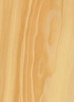 Pinyon Pine — This image shows the Pinyon Pine (Pinus edulis), likely depicting the tree or its wood. | https://www.wood-database.com/wp-content/uploads/pinyon-pine-146x200.jpg