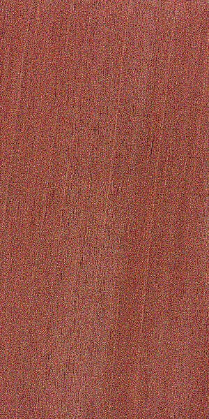 Honduran Mahogany — This image shows Honduran mahogany (Swietenia macrophylla), a tree species known for its height and trunk diameter. | https://www.wood-database.com/wp-content/uploads/swietenia-macrophylla-fs-300x600.jpg