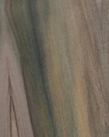 Rainbow Poplar — This image shows Rainbow Poplar wood that has been sanded, highlighting its surface texture. | https://www.wood-database.com/wp-content/uploads/rainbow-poplar-gw-160x200.jpg