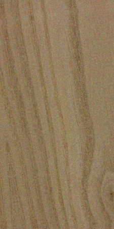 Sassafras wood grain sample