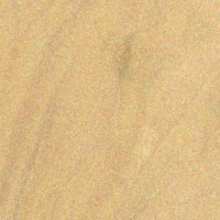 Mulberry — This image shows Red Mulberry (Morus rubra), likely depicting the wood or tree itself. | https://www.wood-database.com/wp-content/uploads/red-mulberry-gw-200x200.jpg