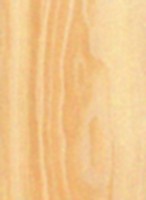 Pinyon Pine — This image shows the Pinyon Pine (Pinus edulis), likely depicting the tree or its wood. | https://www.wood-database.com/wp-content/uploads/pinyon-pine-146x200.jpg