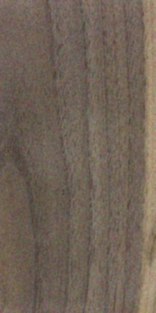 Black Walnut — This image shows black walnut wood (Juglans nigra), which is known for its height and trunk diameter, as well as its average dried weight and specific gravity. | https://www.wood-database.com/wp-content/uploads/juglans-nigra-225x450.jpg
