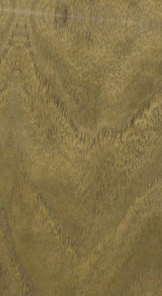 Walnut — flat_sawn