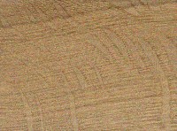 Post Oak — This image shows Post Oak (Quercus stellata), likely depicting the wood or tree itself. | https://www.wood-database.com/wp-content/uploads/post-oak-148x200.jpg
