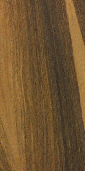 Lignum-vitae wood grain sample