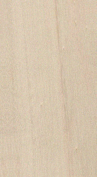 Poplar — flat_sawn
