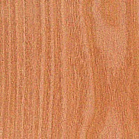 Osage Orange — The image shows Osage Orange (Maclura pomifera), a tree known for its golden to bright yellow heartwood that ages to a darker medium brown. It is noted for its high density and hardness, making it one of the most durable woods in North America. | https://www.wood-database.com/wp-content/uploads/osage-orange-200x200.jpg