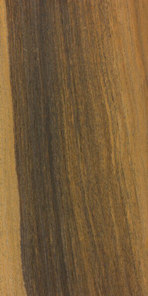 Lignum-vitae wood grain sample