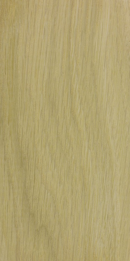 White Oak — flat_sawn