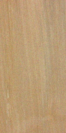 Betulaceae (birch) family — This image shows a species of birch, specifically Betula pendula, which is part of the Betulaceae family. The surrounding text indicates that this family includes several genera, with birch being the most commercially significant. | https://www.wood-database.com/wp-content/uploads/betula-pendula-225x450.jpg