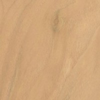 Mulberry — This image shows Red Mulberry (Morus rubra), likely depicting the wood or tree itself. | https://www.wood-database.com/wp-content/uploads/red-mulberry-gw-200x200.jpg