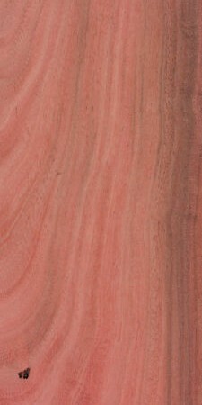 Broad-Leaved Apple — This image shows the broad-leaved apple tree (Angophora floribunda), which is native to Eastern Australia and can grow to heights of 56-82 feet with a trunk diameter of 1-2 feet. | https://www.wood-database.com/wp-content/uploads/angophora-floribunda-225x450.jpg