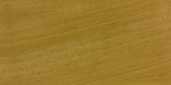 Honduran Mahogany — This image shows Honduran mahogany (Swietenia macrophylla), a tree species known for its height and trunk diameter. | https://www.wood-database.com/wp-content/uploads/swietenia-macrophylla-fs-300x600.jpg