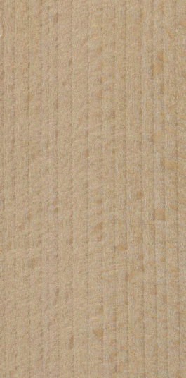 Beech — quarter_sawn
