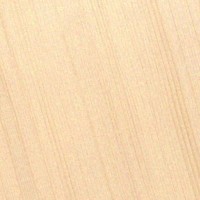 Sitka Spruce — This image shows Sitka Spruce (Picea sitchensis), likely depicting the wood or tree itself. | https://www.wood-database.com/wp-content/uploads/sitka-spruce-200x200.jpg