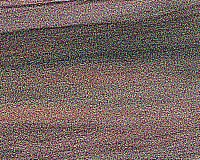 Rainbow Poplar — This image shows Rainbow Poplar wood that has been sanded, highlighting its surface texture. | https://www.wood-database.com/wp-content/uploads/rainbow-poplar-gw-160x200.jpg