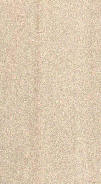 Poplar — flat_sawn