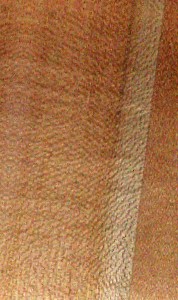 Common hazel — An image associated with the Avellano (hazelnut) fact sheet. In context, it belongs to a set of images illustrating the species or its wood, whose heartwood, sapwood, properties, origin, and uses are described in the text.