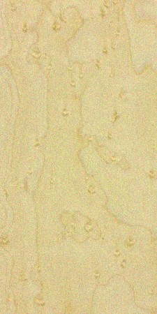Birdseye maple — This image shows birdseye maple (Acer saccharum), which is characterized by tiny knots in the grain resembling small bird's eyes, a growth anomaly caused by unfavorable conditions. | https://www.wood-database.com/wp-content/uploads/acer-spp-birdseye-225x450.jpg
