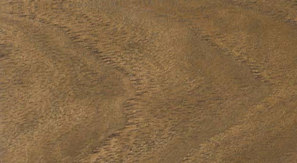 Walnut — flat_sawn