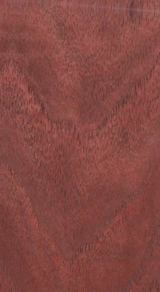 Walnut — flat_sawn