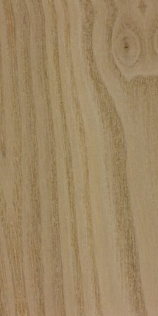 Sassafras wood grain sample