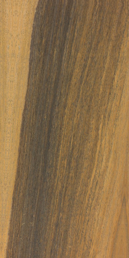 Lignum-vitae wood grain sample