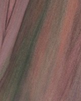 Rainbow Poplar — This image shows Rainbow Poplar wood that has been sanded, highlighting its surface texture. | https://www.wood-database.com/wp-content/uploads/rainbow-poplar-gw-160x200.jpg