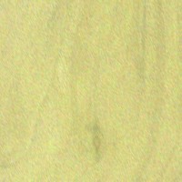 Mulberry — This image shows Red Mulberry (Morus rubra), likely depicting the wood or tree itself. | https://www.wood-database.com/wp-content/uploads/red-mulberry-gw-200x200.jpg