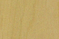 Betulaceae (birch) family — The image depicts Alder, specifically Alnus rubra, which is one of the species listed under the Alnus genus. The surrounding text mentions various types of alder, indicating its classification within the Betulaceae family. | https://www.wood-database.com/wp-content/uploads/alnus-rubra-250x167.jpg
