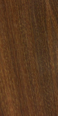 Ipe — This image shows Ipe wood (Handroanthus serratifolius), a species known for its durability and strength, commonly found in tropical Central and South America. | https://www.wood-database.com/wp-content/uploads/handroanthus-serratifolius-225x450.jpg