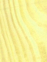 Lodgepole Pine — This image shows Lodgepole Pine (Pinus contorta), likely depicting the wood or tree itself. | https://www.wood-database.com/wp-content/uploads/lodgepole-pine-2-153x200.jpg